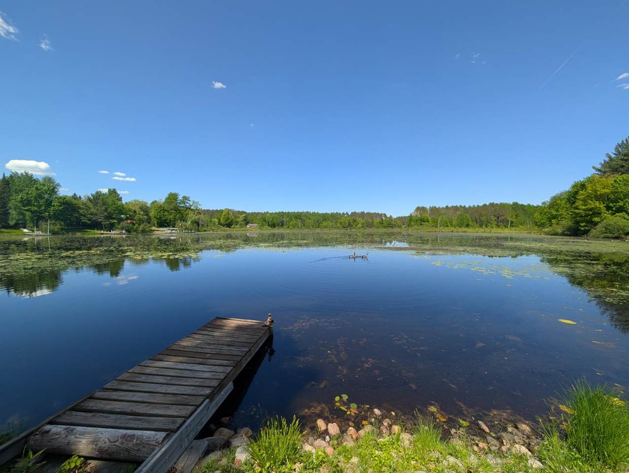 https://bt-photos.global.ssl.fastly.net/northwoods/1280_boomver_1_217523-2.jpg