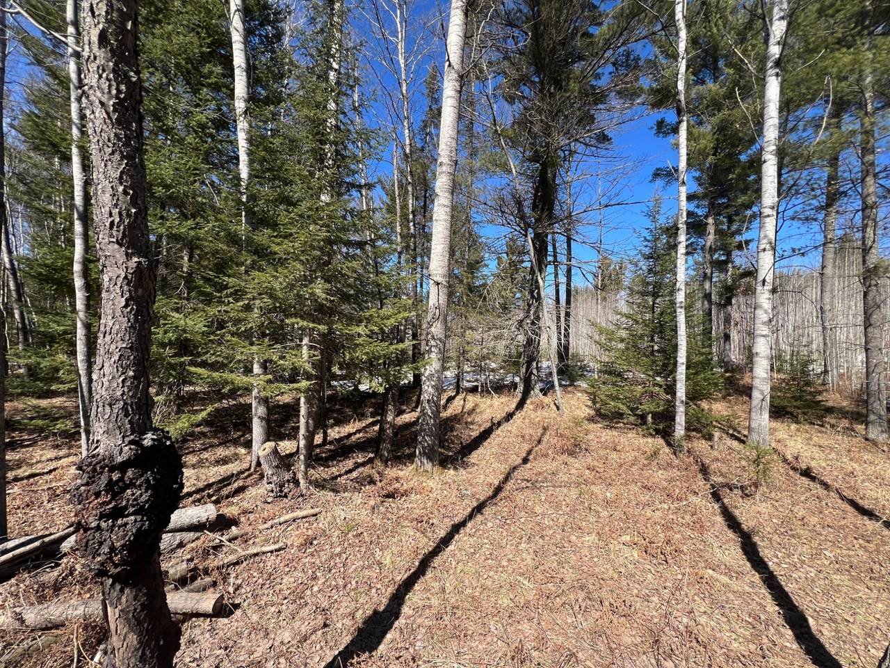TBD Hwy 424 - Photo 1