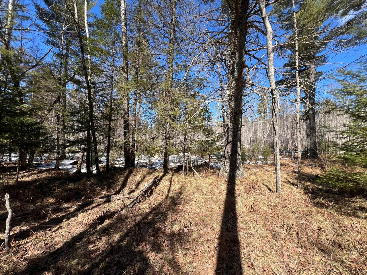 https://bt-photos.global.ssl.fastly.net/northwoods/1280_boomver_1_217531-2.jpg