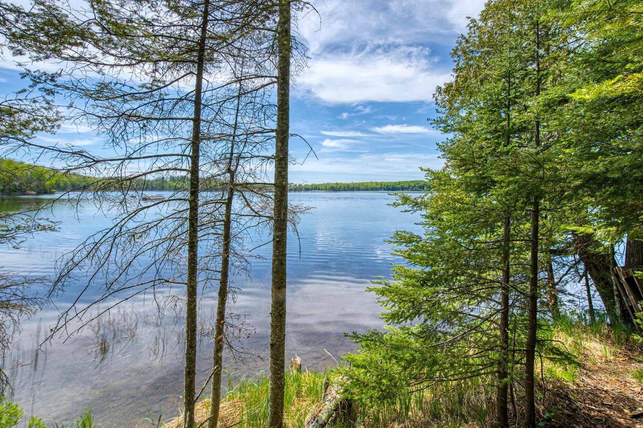 9217 Bald Eagle Rd - Photo 1