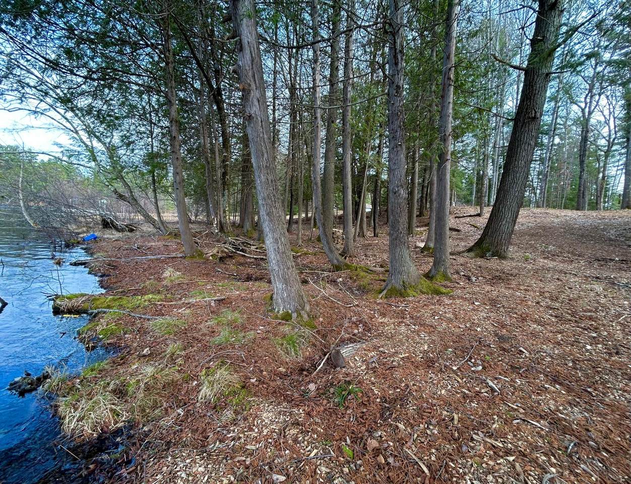https://bt-photos.global.ssl.fastly.net/northwoods/1280_boomver_1_217561-2.jpg