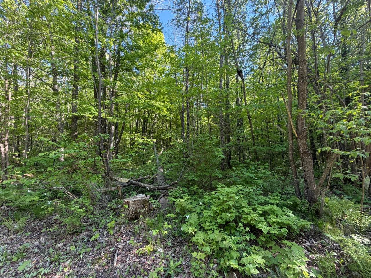 LOT 7 Dream Lake Rd - Photo 1