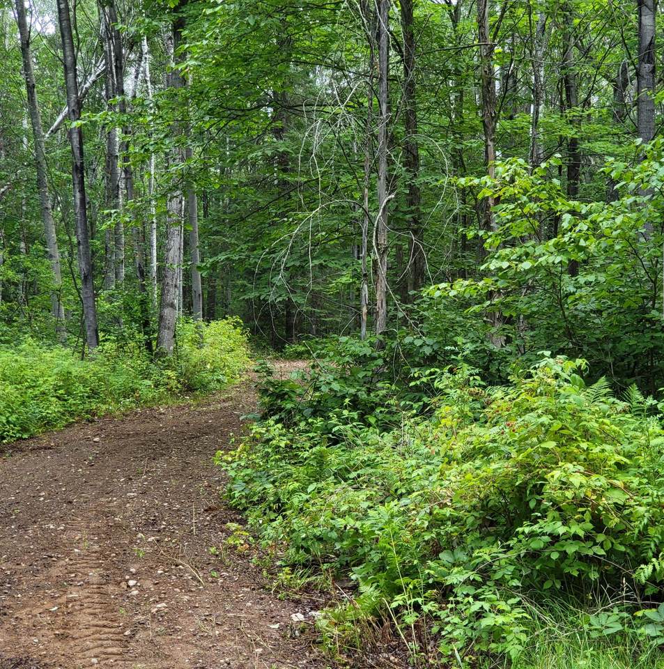 https://bt-photos.global.ssl.fastly.net/northwoods/1280_boomver_1_217567-2.jpg
