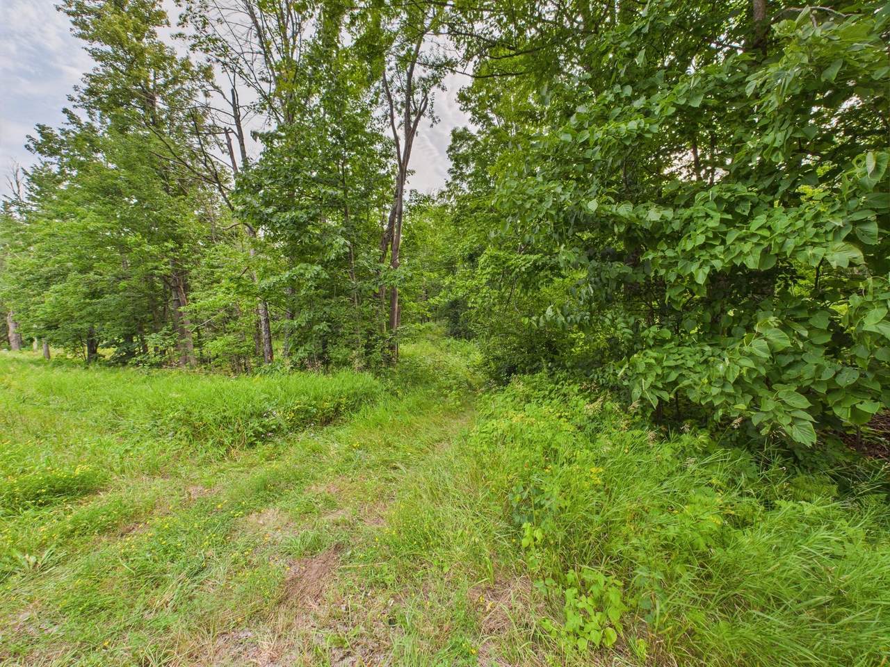 36.5 ac Hwy 139 - Photo 1