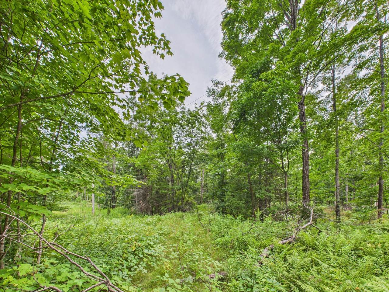 https://bt-photos.global.ssl.fastly.net/northwoods/1280_boomver_1_217584-2.jpg