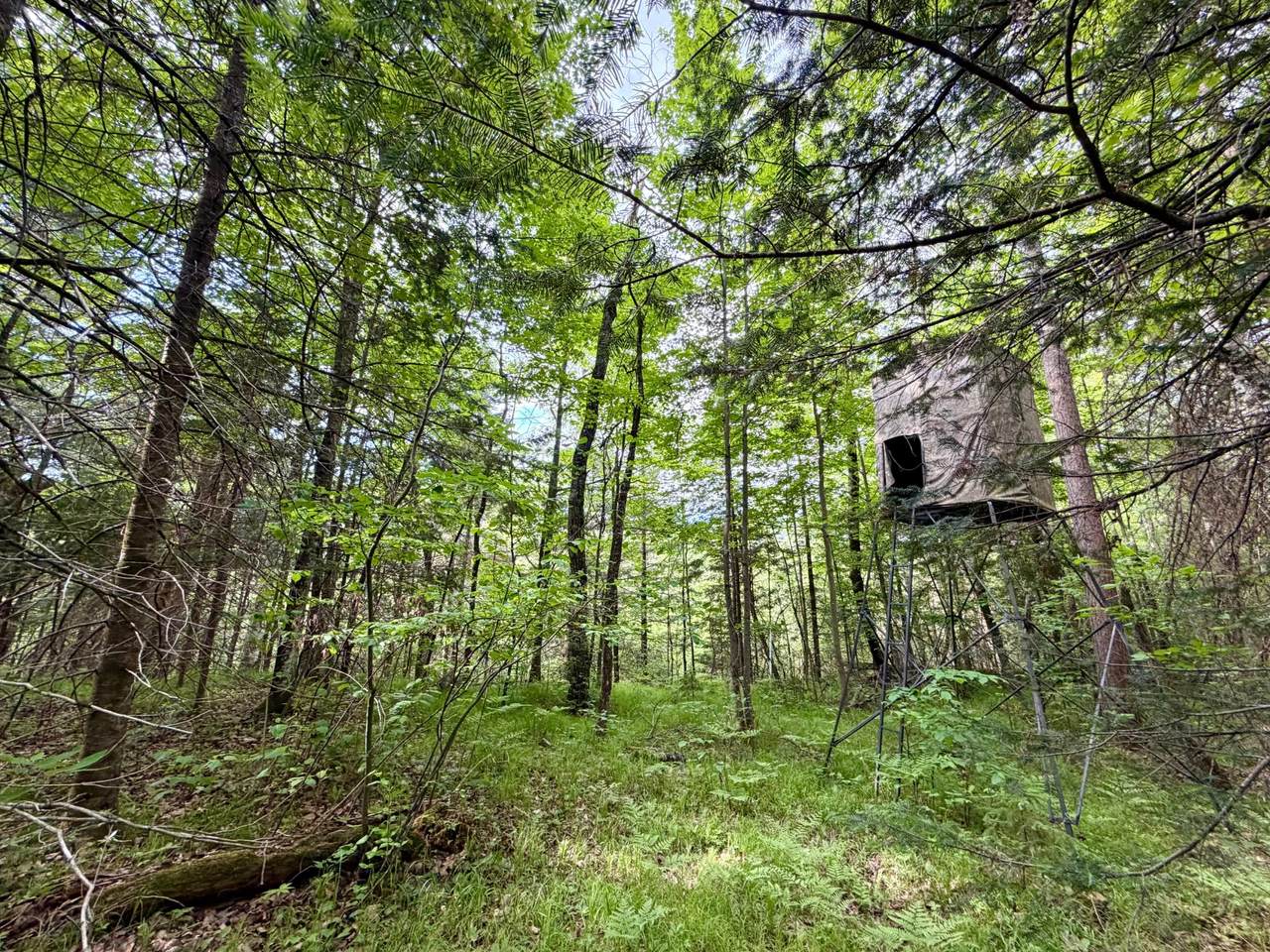 https://bt-photos.global.ssl.fastly.net/northwoods/1280_boomver_1_217593-2.jpg