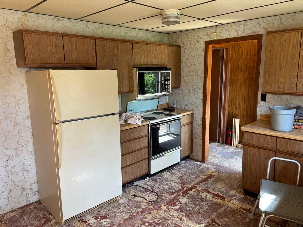 https://bt-photos.global.ssl.fastly.net/northwoods/1280_boomver_1_217666-2.jpg