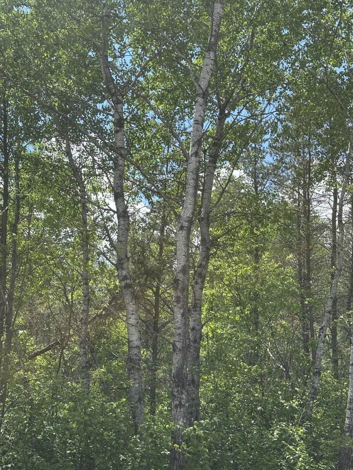 ON Cth Y - Photo 1