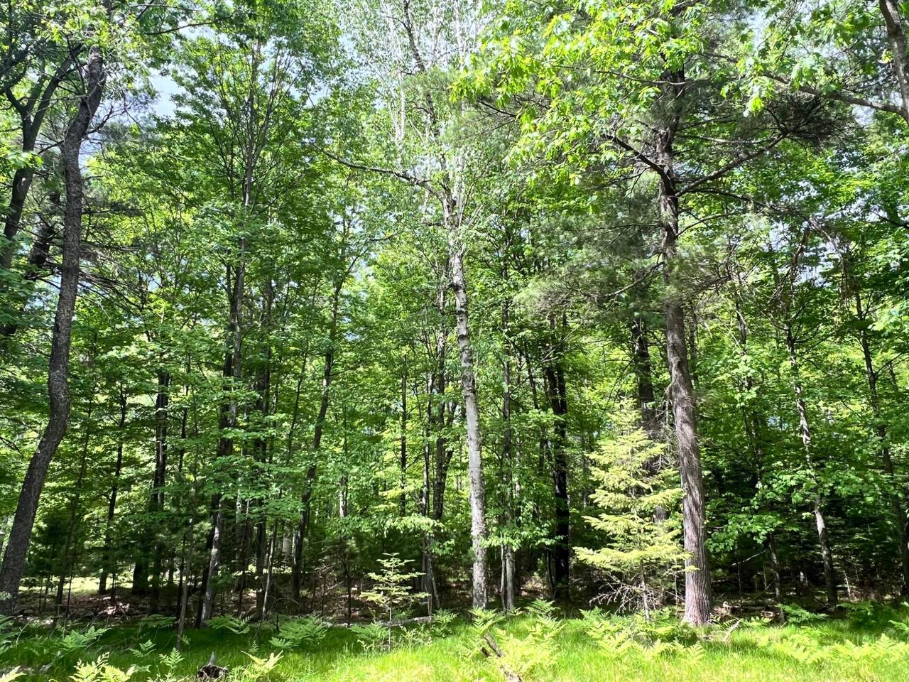 https://bt-photos.global.ssl.fastly.net/northwoods/1280_boomver_1_217683-2.jpg