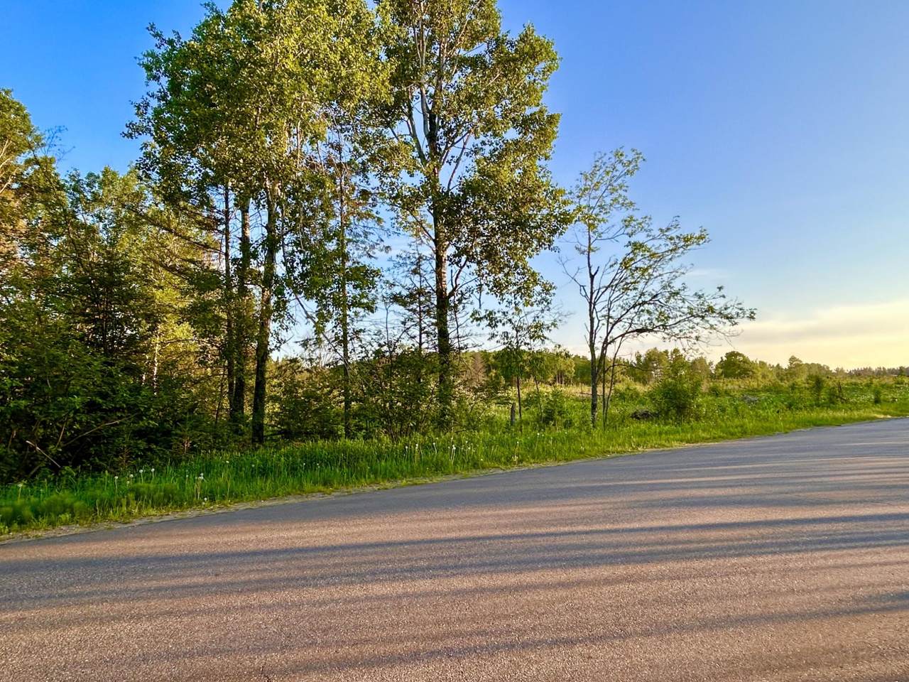 10 Acres Cth N - Photo 1