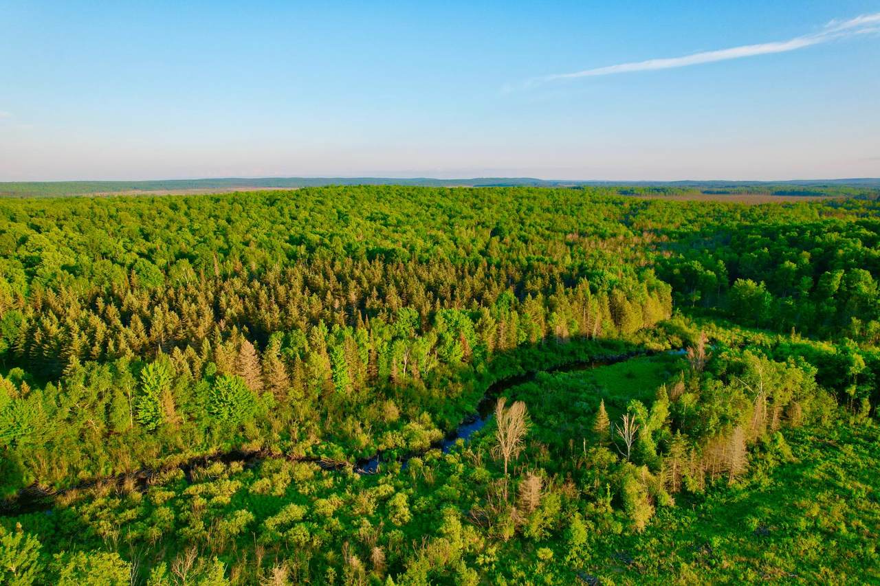 https://bt-photos.global.ssl.fastly.net/northwoods/1280_boomver_1_217719-2.jpg