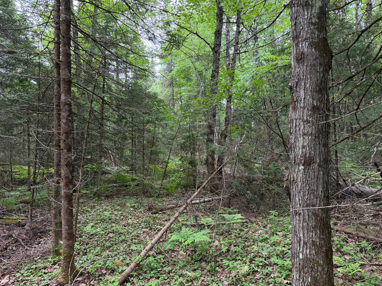 https://bt-photos.global.ssl.fastly.net/northwoods/1280_boomver_1_217722-2.jpg