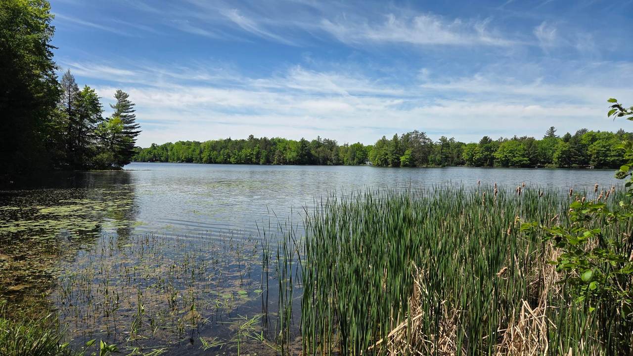 https://bt-photos.global.ssl.fastly.net/northwoods/1280_boomver_1_217733-2.jpg