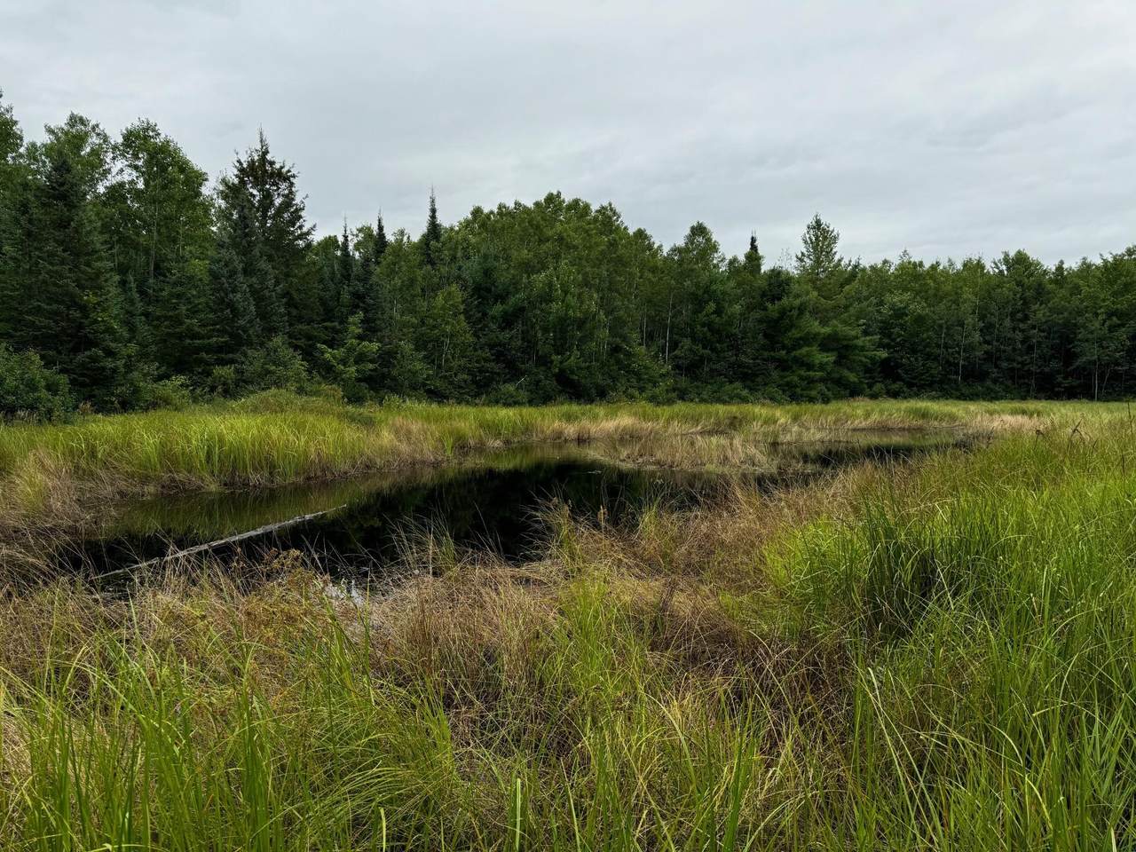 https://bt-photos.global.ssl.fastly.net/northwoods/1280_boomver_1_217765-2.jpg