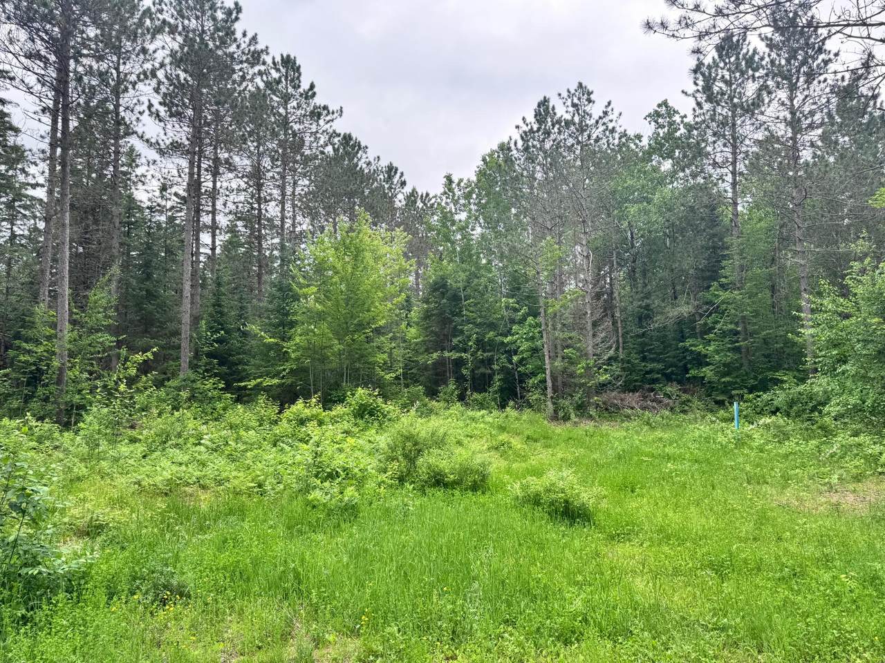 0000 Pine Lake Rd - Photo 1