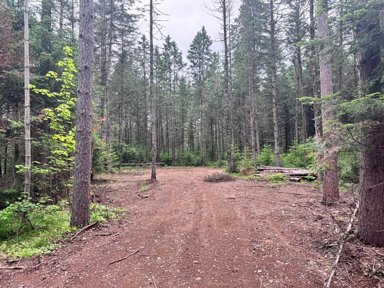0000 Pine Lake Rd - Photo 1