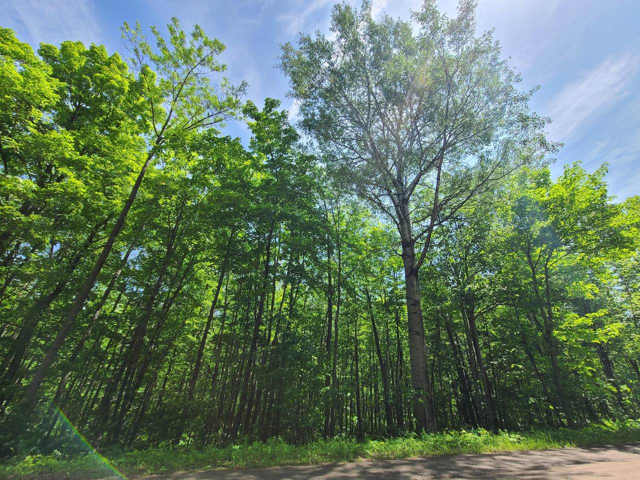 https://bt-photos.global.ssl.fastly.net/northwoods/1280_boomver_1_217779-2.jpg