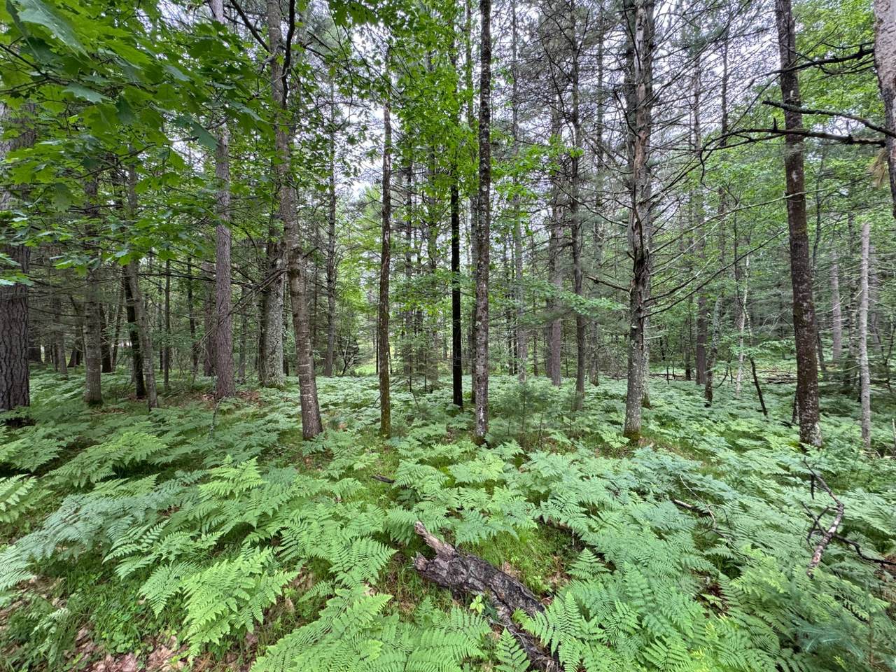Lot #90 Trailwood Dr - Photo 1