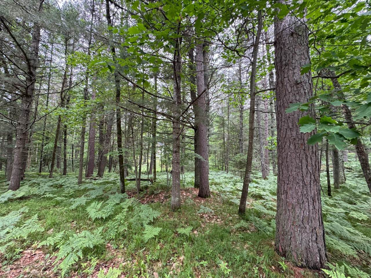 https://bt-photos.global.ssl.fastly.net/northwoods/1280_boomver_1_217780-2.jpg