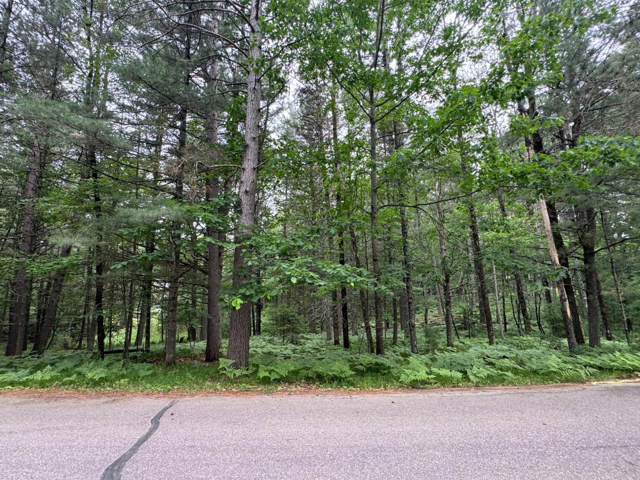 https://bt-photos.global.ssl.fastly.net/northwoods/1280_boomver_1_217780-2.jpg