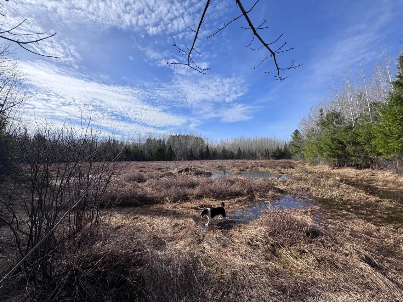 0000 Pine Lake Rd - Photo 1