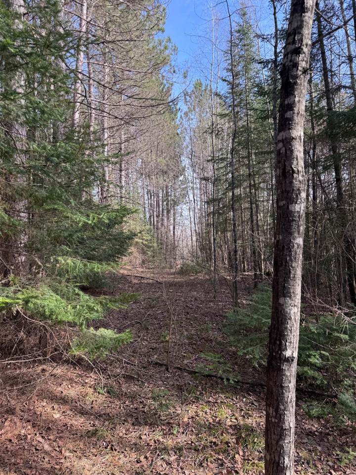 https://bt-photos.global.ssl.fastly.net/northwoods/1280_boomver_1_217786-2.jpg