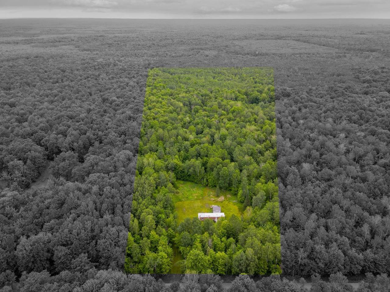 W10716 Joe Snow Rd - Photo 1
