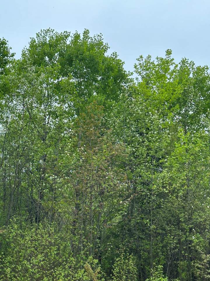 ON Kelly Dam Rd - Photo 1
