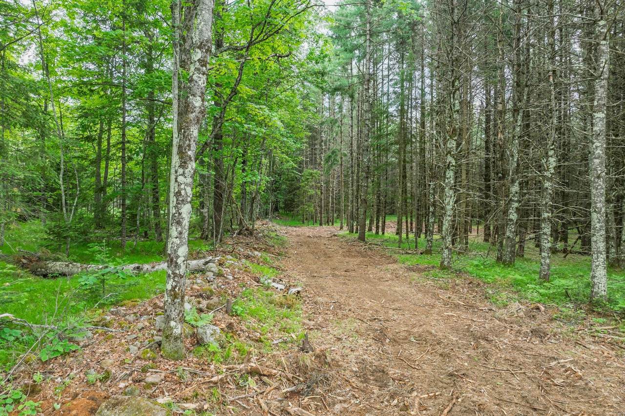 https://bt-photos.global.ssl.fastly.net/northwoods/1280_boomver_1_217853-2.jpg