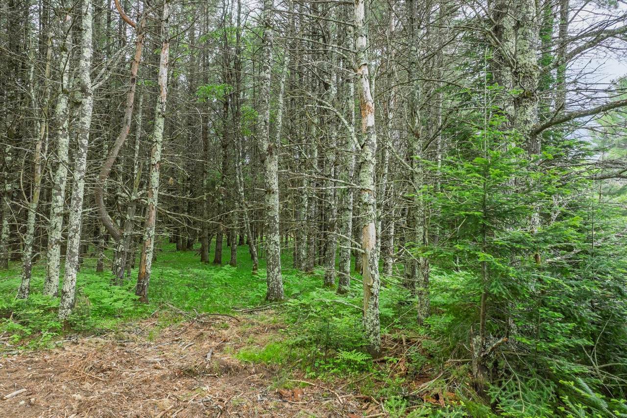 https://bt-photos.global.ssl.fastly.net/northwoods/1280_boomver_1_217853-2.jpg