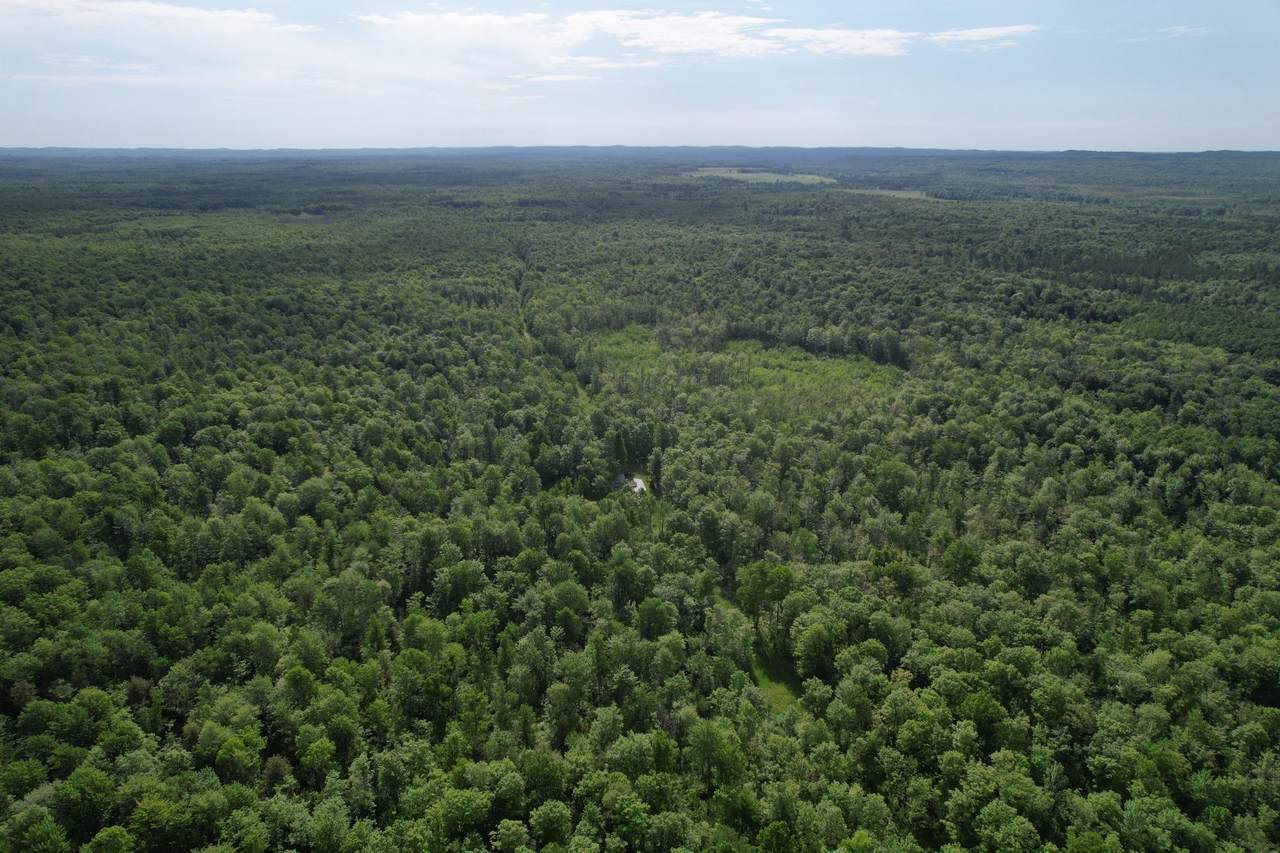 https://bt-photos.global.ssl.fastly.net/northwoods/1280_boomver_1_217863-2.jpg