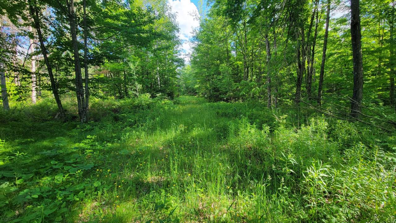 ON Hunting River Rd - Photo 1