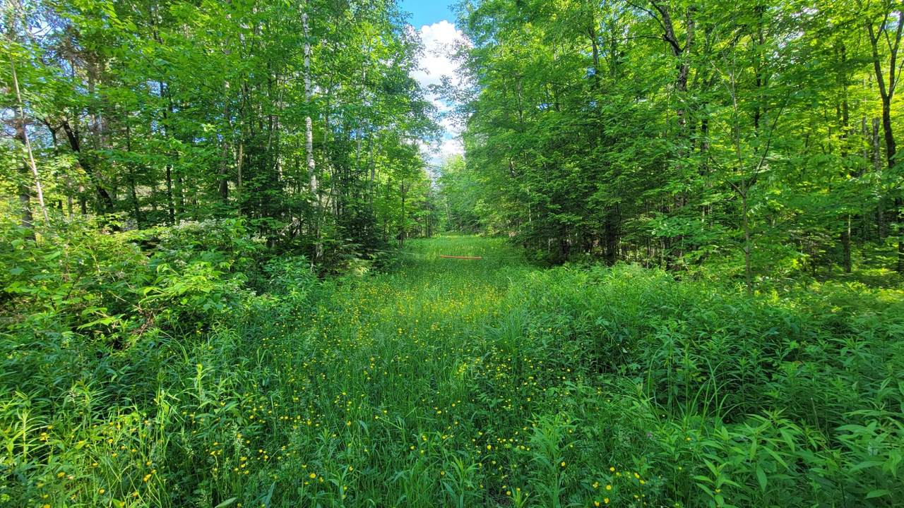 https://bt-photos.global.ssl.fastly.net/northwoods/1280_boomver_1_217882-2.jpg