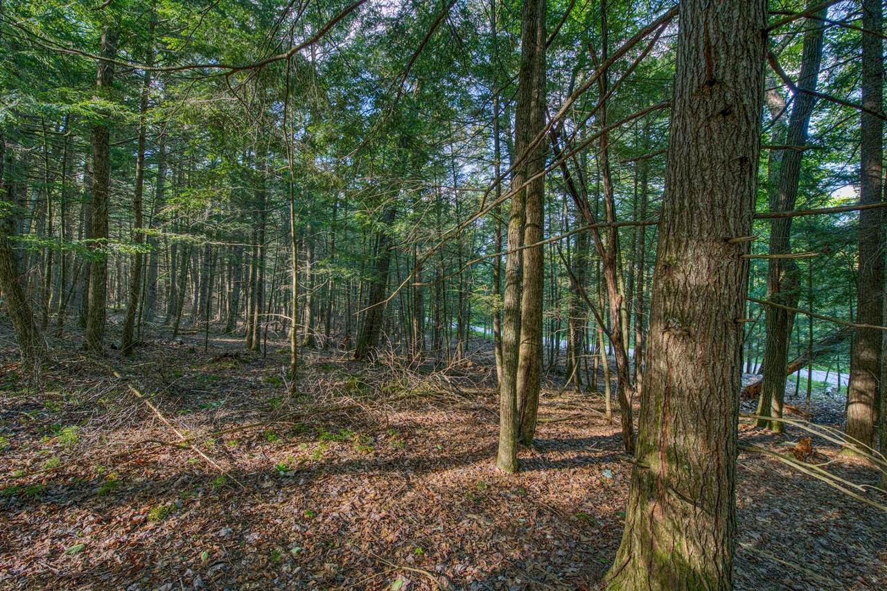 https://bt-photos.global.ssl.fastly.net/northwoods/1280_boomver_1_217902-2.jpg
