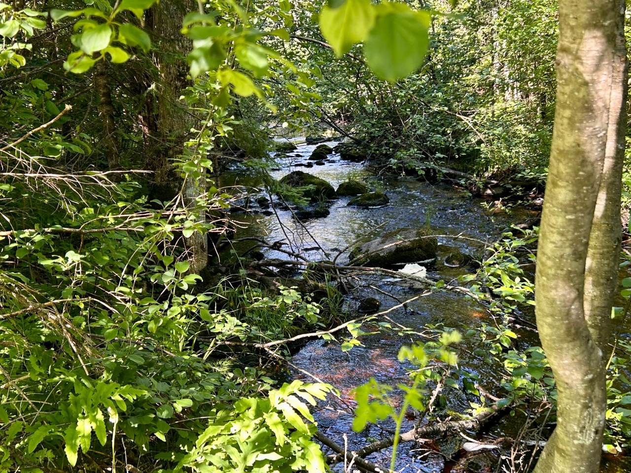 https://bt-photos.global.ssl.fastly.net/northwoods/1280_boomver_1_217904-2.jpg