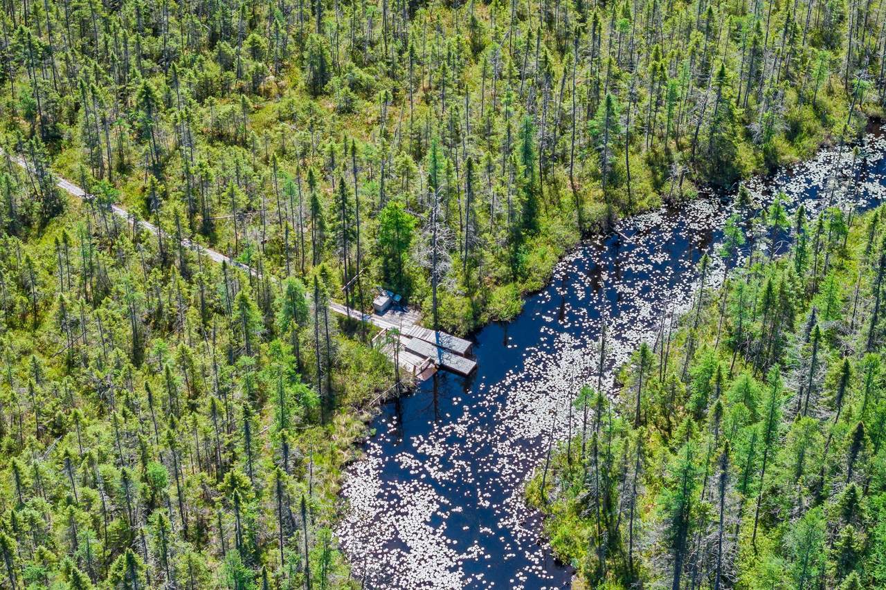https://bt-photos.global.ssl.fastly.net/northwoods/1280_boomver_1_217912-2.jpg