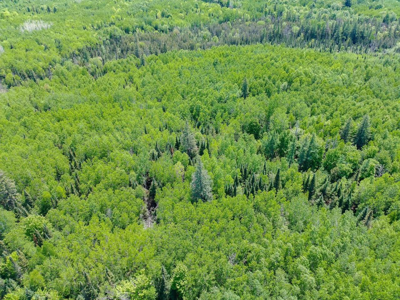 https://bt-photos.global.ssl.fastly.net/northwoods/1280_boomver_1_217925-2.jpg