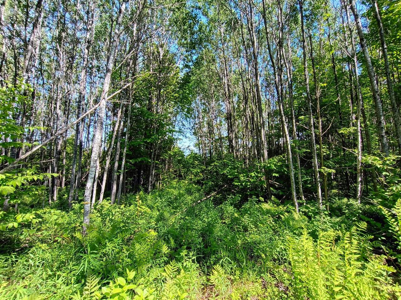 https://bt-photos.global.ssl.fastly.net/northwoods/1280_boomver_1_217925-2.jpg