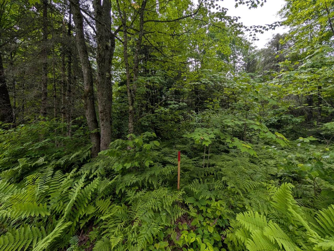https://bt-photos.global.ssl.fastly.net/northwoods/1280_boomver_1_217948-2.jpg