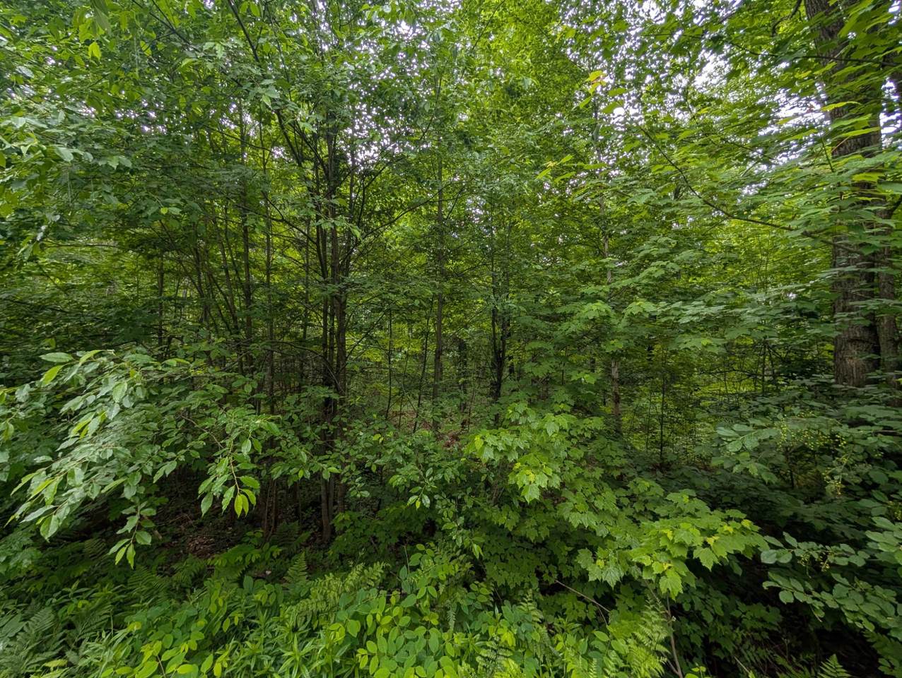 https://bt-photos.global.ssl.fastly.net/northwoods/1280_boomver_1_217950-2.jpg