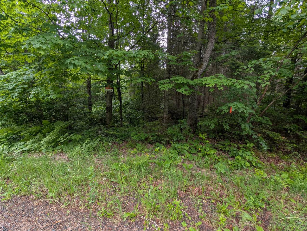 https://bt-photos.global.ssl.fastly.net/northwoods/1280_boomver_1_217950-2.jpg