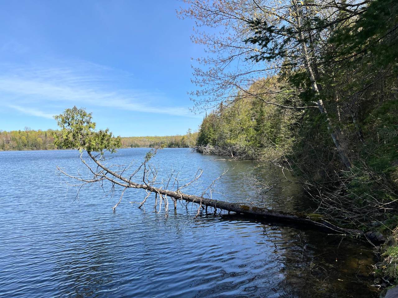 https://bt-photos.global.ssl.fastly.net/northwoods/1280_boomver_1_217955-2.jpg