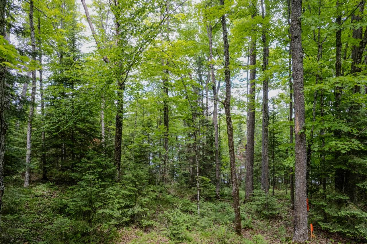 https://bt-photos.global.ssl.fastly.net/northwoods/1280_boomver_1_217955-2.jpg