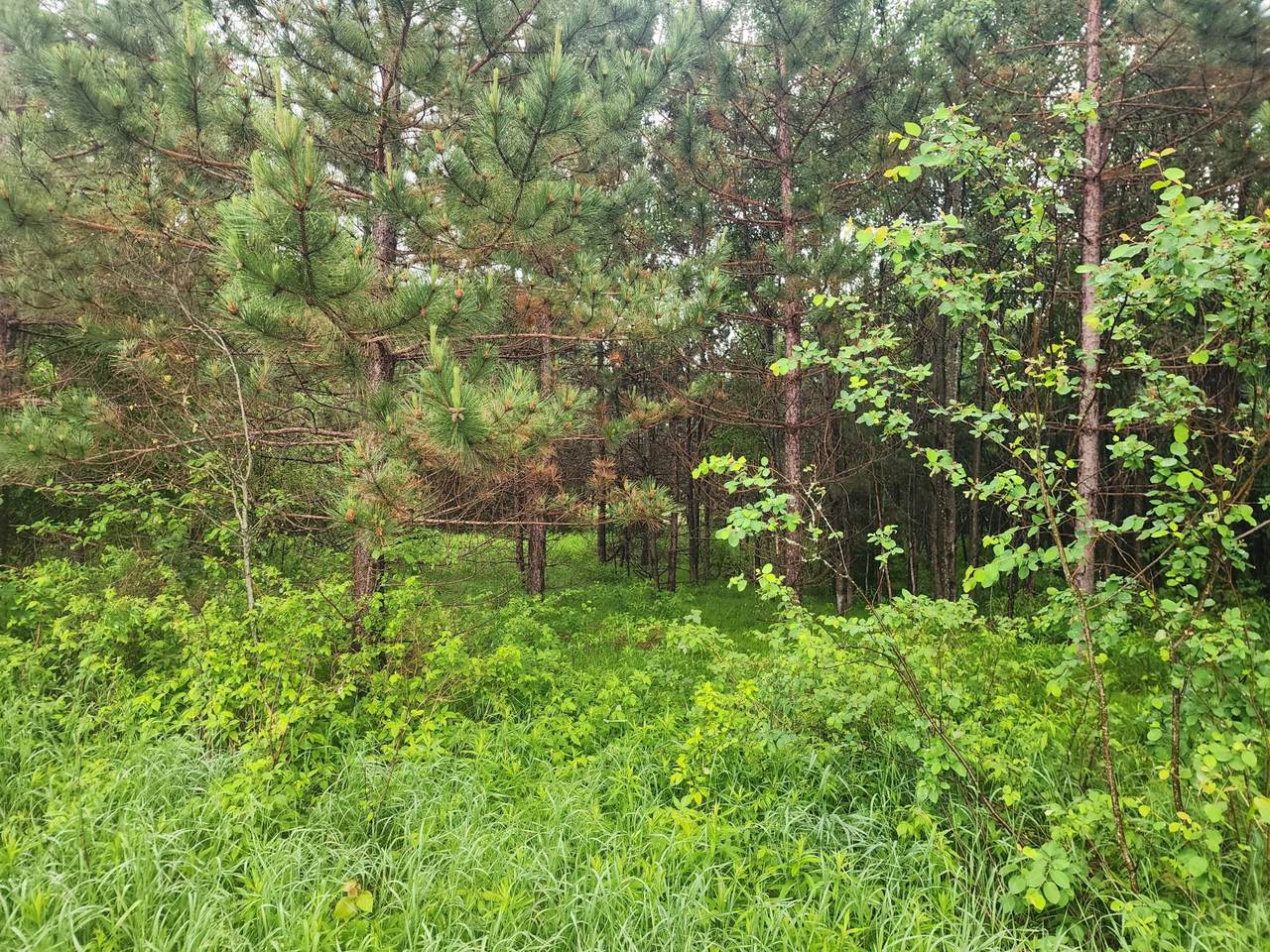 https://bt-photos.global.ssl.fastly.net/northwoods/1280_boomver_1_217973-2.jpg