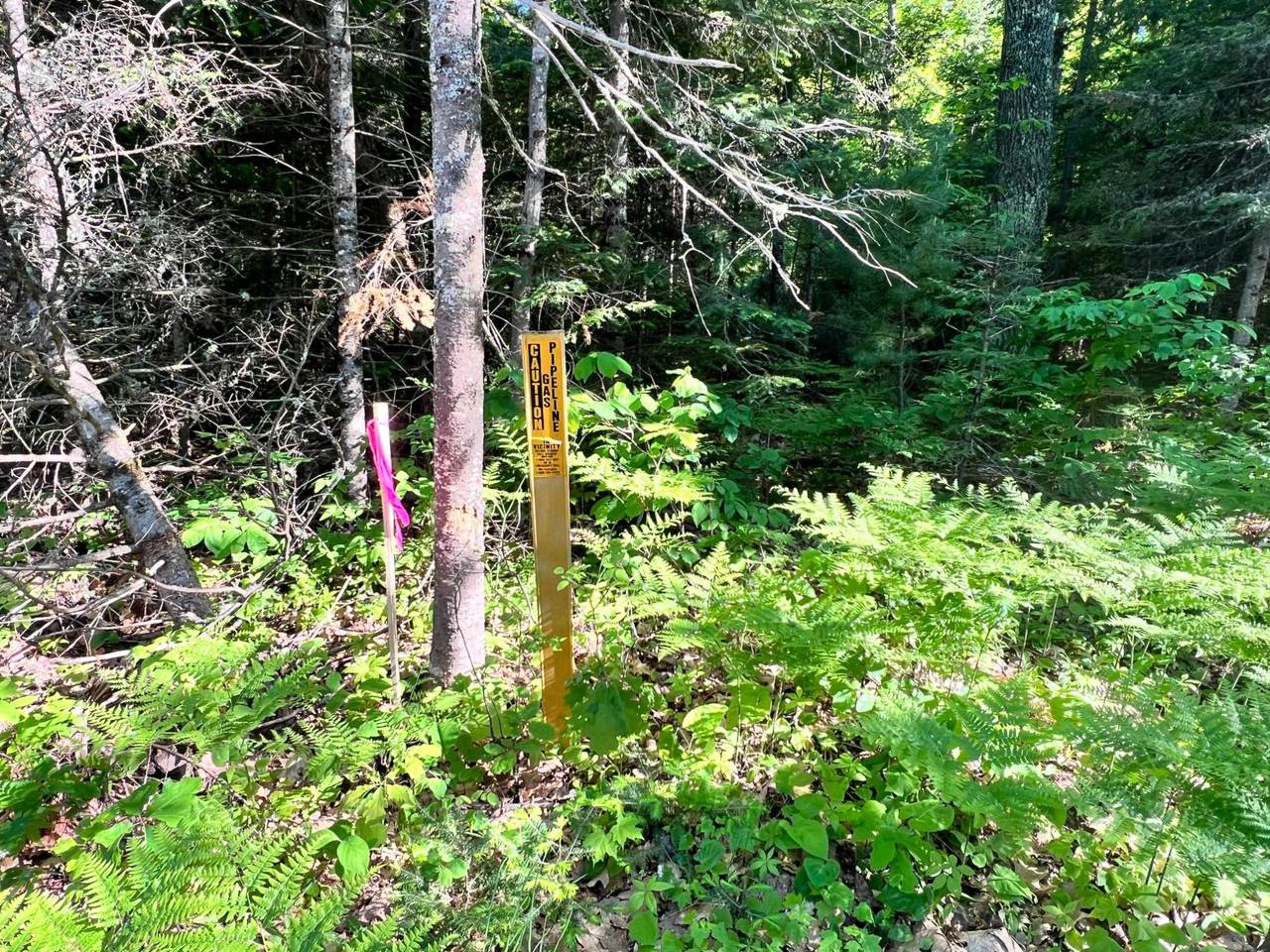 https://bt-photos.global.ssl.fastly.net/northwoods/1280_boomver_1_217989-2.jpg