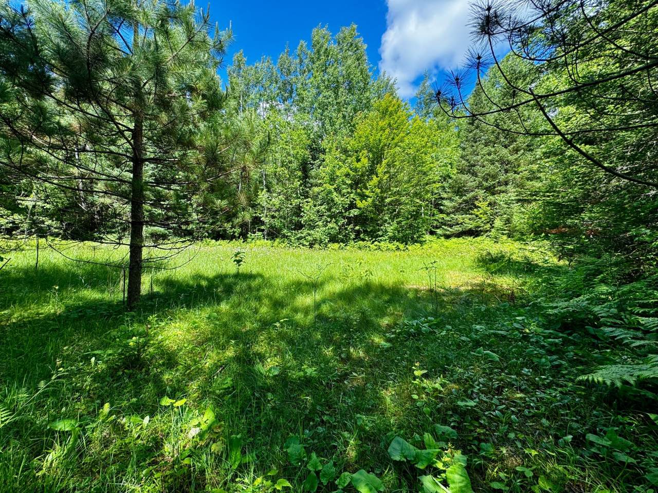 https://bt-photos.global.ssl.fastly.net/northwoods/1280_boomver_1_218004-2.jpg