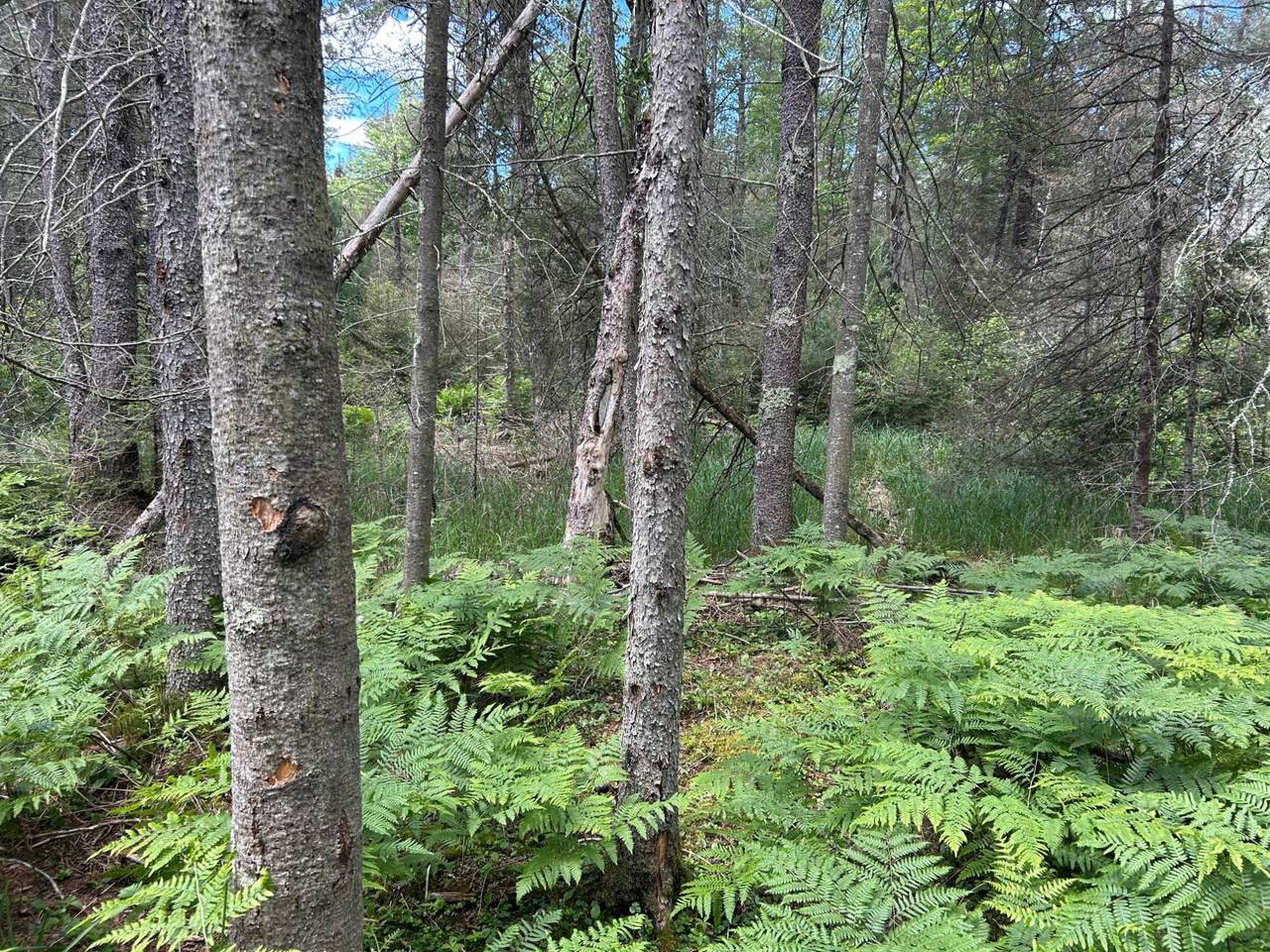 Lot off Melody Dr - Photo 1