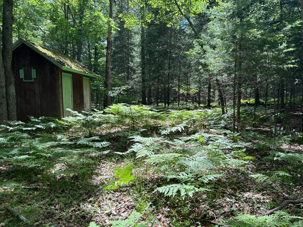 https://bt-photos.global.ssl.fastly.net/northwoods/1280_boomver_1_218017-2.jpg