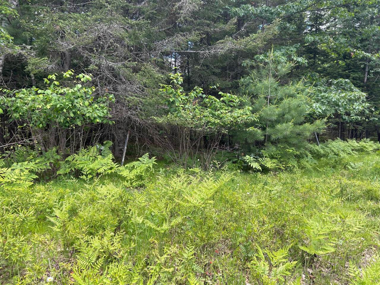 https://bt-photos.global.ssl.fastly.net/northwoods/1280_boomver_1_218017-2.jpg