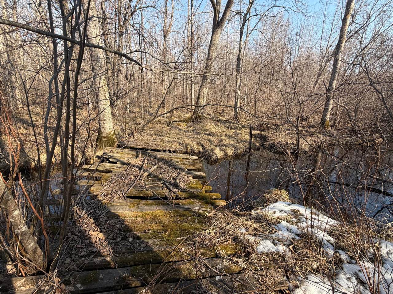 https://bt-photos.global.ssl.fastly.net/northwoods/1280_boomver_1_218019-2.jpg